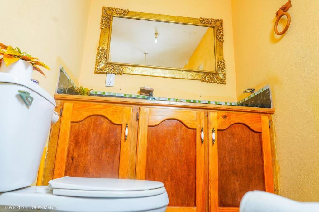 Belle View-Tulip Apartment Laborie Екстериор снимка